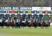 ¡Arrasaron los venezolanos! Ganaron ocho carreras programadas en Tampa Bay Downs
