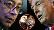 Petro detalla qué fue lo que habló con Trump: lo hizo con imagen de un águila calva y un jaguar