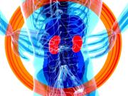 ¿Qué tratamientos existen para la Enfermedad Renal Crónica?