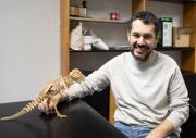 Un estudio revela cómo corrían los dinosaurios tras analizar sus huellas