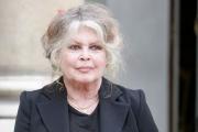 Brigitte Bardot fue enterrada con una camisa con una foca, su animal favorito