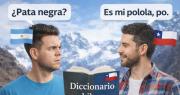 Diccionario chileno: guía básica para comunicarse al otro lado de la cordillera