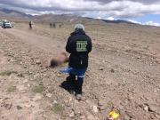 Macabro hallazgo: dos ciudadanos chilenos son encontrados maniatados, torturados y calcinados