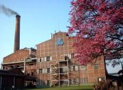 Ledesma busca blindarse financieramente con una ambiciosa emisión de títulos por U$S 150 millones