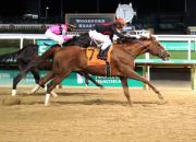 ¡Rattle N Roll vuelve a Arabia Saudita! Confirmada su participación en la Saudi Cup de $20 millones