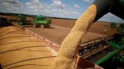 Argentina se encamina a una cosecha récord de granos en la campaña 2025/26