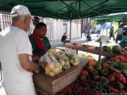 Tomate a Bs.350 en la Feria Agrícola