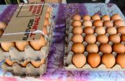 Sube el precio de los huevos en Mariara