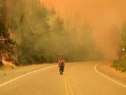 Incendios en Chubut: reabrieron la ruta 40, pero hay alerta por visibilidad reducida