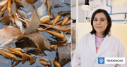 Científica chilena desarrolla innovador método con algas marinas para eliminar arsénico del agua
