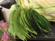 Mera, centro milenario y natural