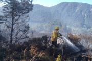 Incendios en la Patagonia: Neuquén suma dos focos activos en el Parque Nacional Lanín 