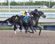 Lightning Tones defenderá su título ante Hades en el Sunshine Classic Stakes por $75,000 en Gulfstream Park