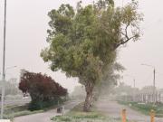 El Gobierno deberá indemnizar a un mendocino por un accidente durante el Zonda