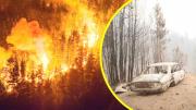 Incendios forestales consumen miles de hectáreas en la Patagonia argentina y obligan a evacuar a más de 3.000 turistas
