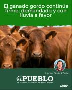 El ganado gordo continúa firme, demandado y con lluvia a favor ‣ Martin Ferreira Pinto