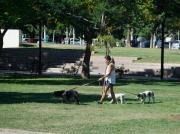 Vuelve el calor: así estará el tiempo este fin de semana en Mendoza