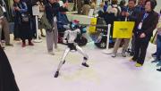 CES 2026: estos son los robots más innovadores que ya pueden trabajar, limpiar y aprender