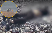 Miraflores: Hallan cadáver de un hombre flotando en playa Los Delfines