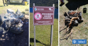 Realizan fogatas en Parque Nacional Alerce Andino en Los Lagos: dos hombres fueron detenidos