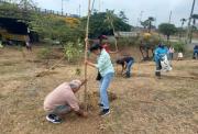 Un pulmón verde crece en el norte de Guayaquil con 600 nuevos árboles