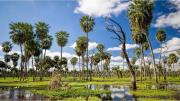 El paraíso poco conocido de Formosa para conectar con la naturaleza como nunca antes lo hiciste