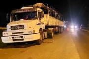 Simularon ser policías y robaron mercadería de un camión en la Ruta 34
