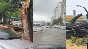 Así golpeó el ciclón extratropical en Uruguay: los videos y las fotos del paso del fenómeno climático