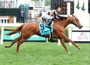 Queen Máxima busca su tercera victoria de Graded en Las Cienegas Stakes (G3) en Santa Anita Park