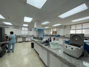 Voluntarios tienen que madrugar para donar en el Banco de Sangre