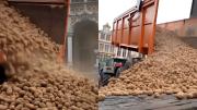 [Video] Bruselas: Lluvia de papas en protesta de agricultores contra acuerdo UE-Mercosur