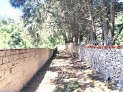 ¿Paradojas o bucles de la historia?