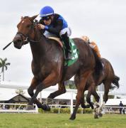 Sabermetria: Junior Alvarado fue el mejor jinete venezolano según la métrica entre los Top 25 en Estados Unidos