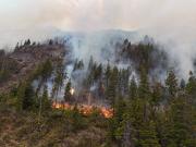 Vivir en el fuego: el dolor de los evacuados, brigadistas que lo arriesgan todo y empresarios turísticos que pierden otra temporada