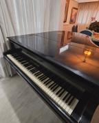 La Casa Pianoforte dona un piano de cola Blüthner: qué instituciones pueden participar