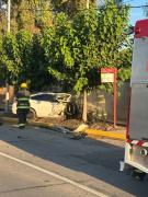 Un joven está grave por chocar contra un árbol en la Rodríguez Peña