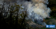 Decretan Alerta Roja en Pinto por incendio forestal que afecta a la Reserva Ñuble
