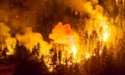 Más de 5 mil hectáreas ha consumido los incendios forestales en la patagonia argentina