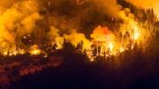Incendio forestal en la Patagonia argentina arrasó con 11 mil 970 hectáreas