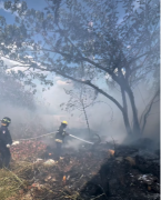 Reportan incendio de vegetación en Valencia este 11 de enero: autoridades rescatan a un canino