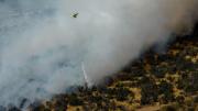 Incendio forestal: Senapred ordena la evacuación de cuatro sectores en comuna de la región del Maule