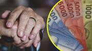PGU de $250.000 también aumentará su valor en febrero: ¿Cuál será el nuevo monto de este beneficio de la Reforma de Pensiones?