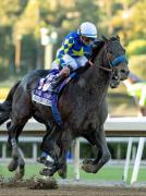 Goal Oriented ganador del Malibú G1 en el opening day en Santa Anita Park es retirado a la cría