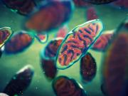 Comprueban un nexo entre el riesgo de contagio de la supergripe H3N2 y un efecto que deja el Covid