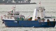 Alerta en el Mar Argentino: detectaron un buque extranjero pescando ilegalmente dentro de la zona exclusiva