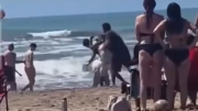 Una batalla campal: la brutal pelea entre vendedores de churros y licuados en la playa