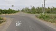 Tragedia sobre la Ruta 65 en Roca: murió un joven de 21 años luego de chocar contra un camión