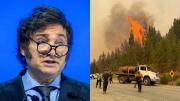 Javier Milei agradeció a todos los que luchan contra los incendios en Chubut