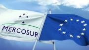 La importancia del acuerdo Mercosur