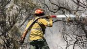 Incendios en Chubut: bomberos cordobeses ya trabajan en la lucha contra el fuego